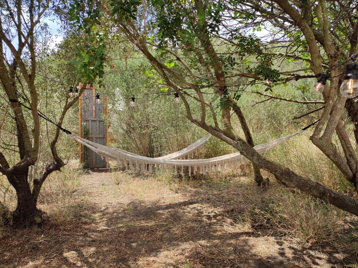 Hotel Tranquilo Glamping Hozanejos Zewnętrze zdjęcie